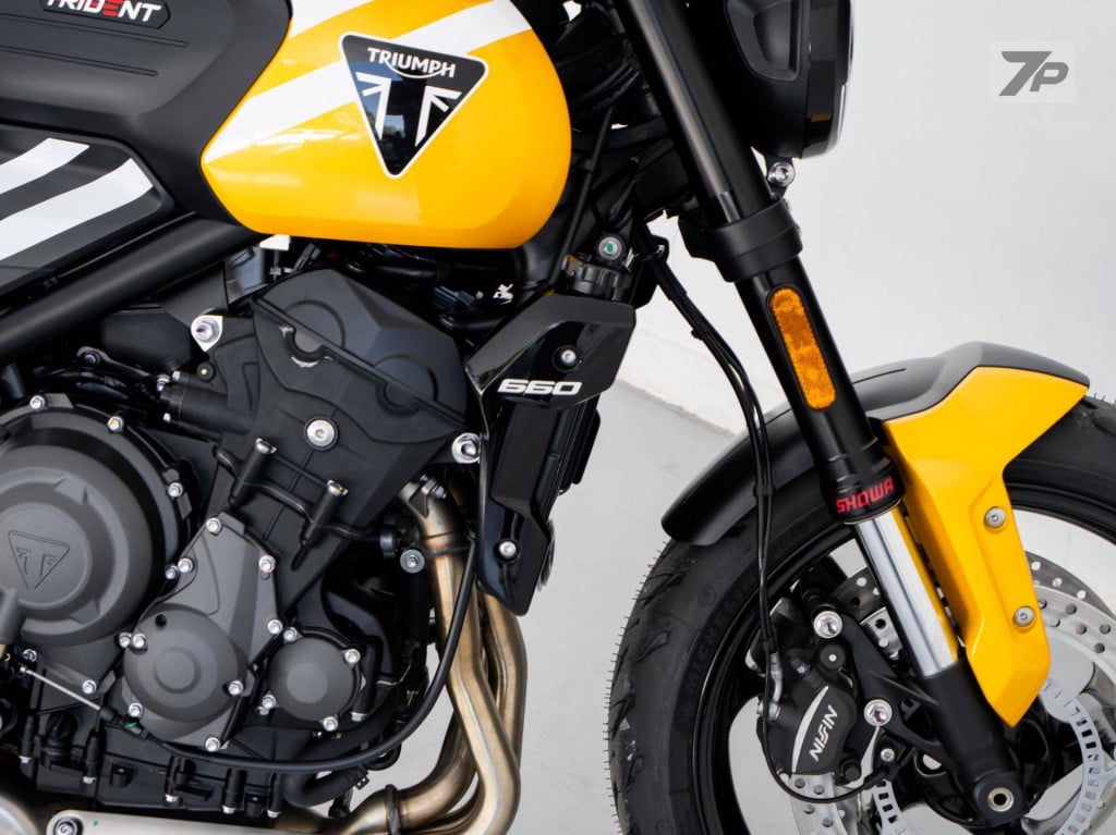 Imagem do veículo TRIUMPH TRIDENT 660 