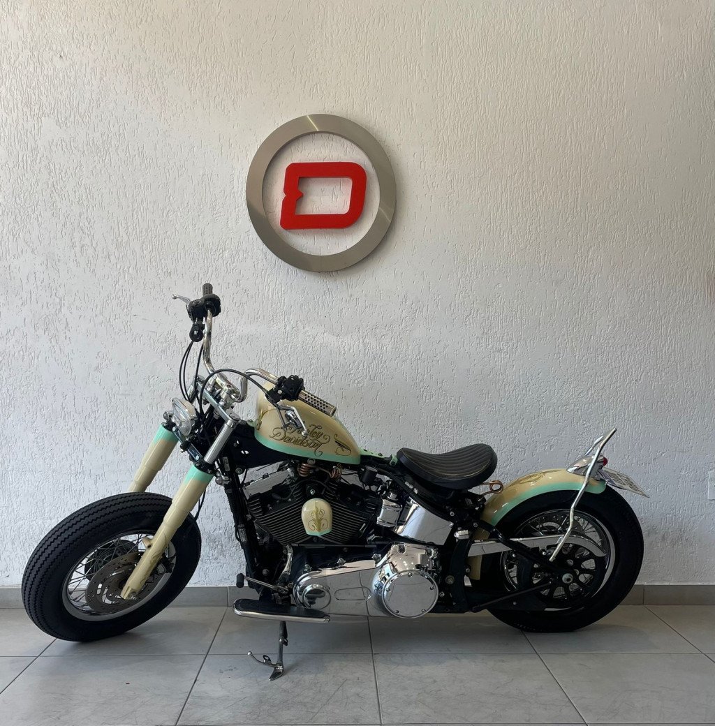 SOFTAIL DELUXE  FLSTN
