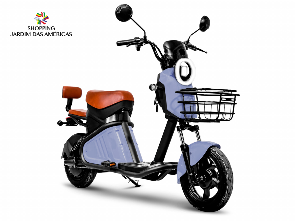 BIKE ECOFLOW 1000W - 2025 - CINZA