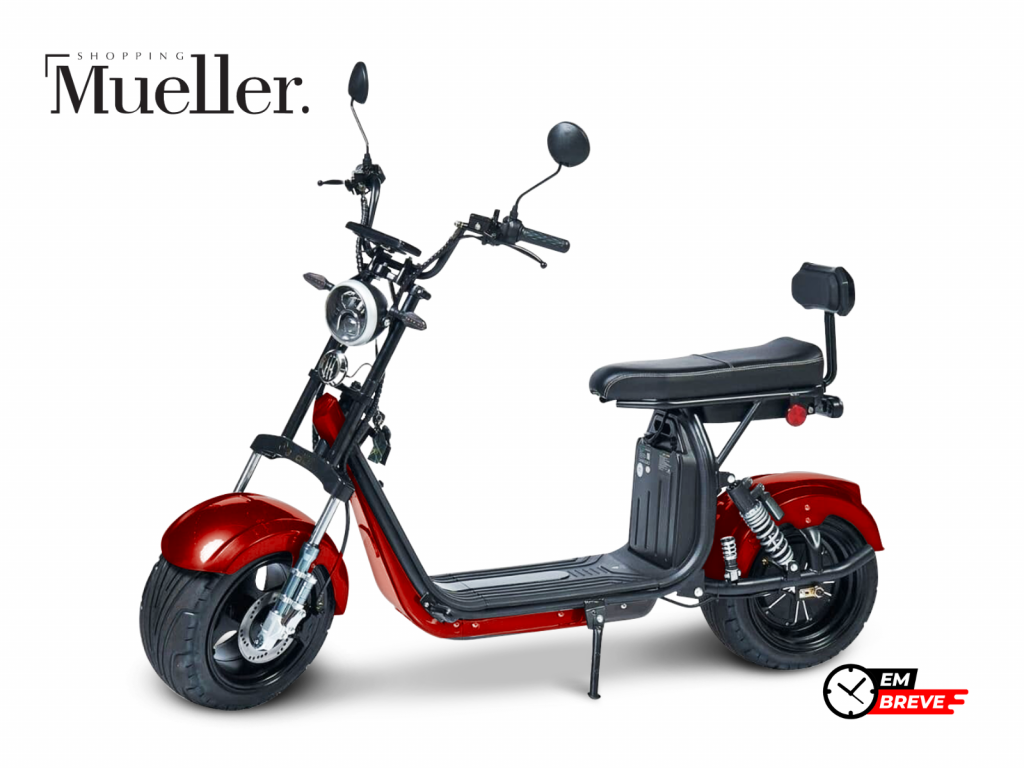 Imagem do veículo SCOOTER X11 3000W - 2025