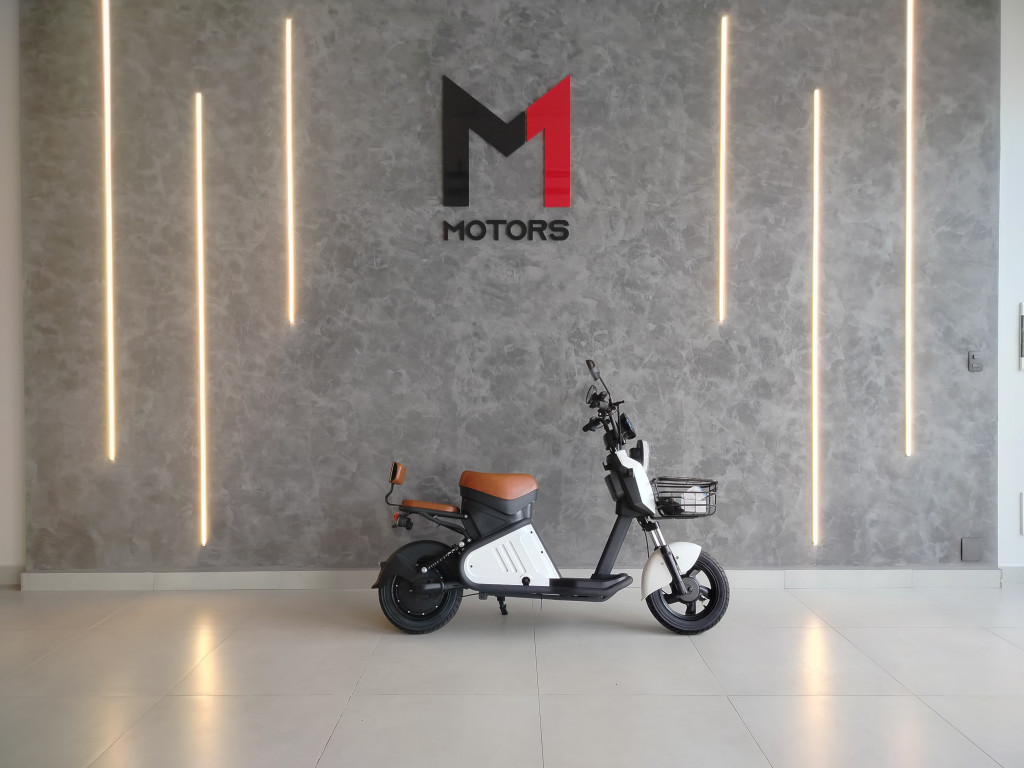 Imagem do veículo BIKE ECOFLOW 1000W - 2025 - BRANCA