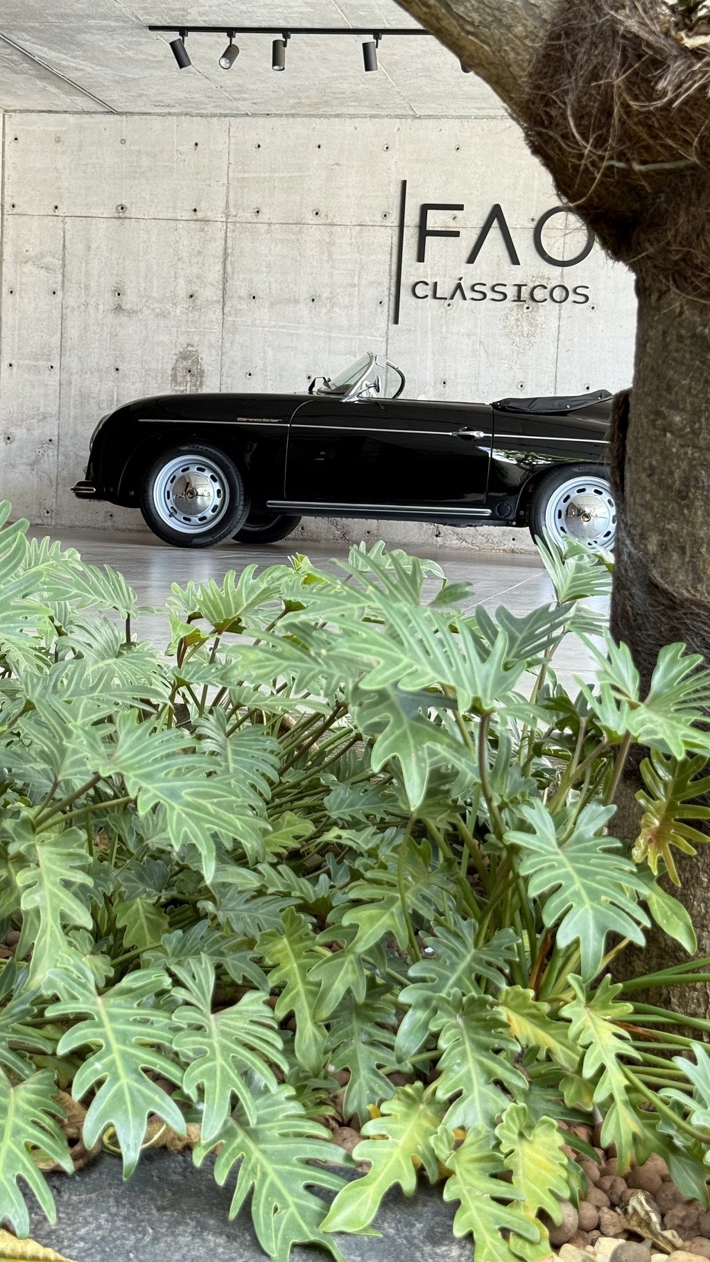 Imagem do veículo SPEEDSTER