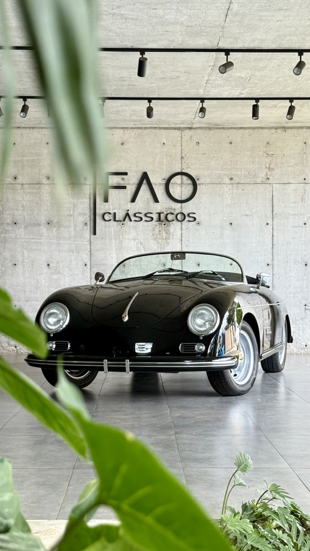 Imagem do veículo SPEEDSTER