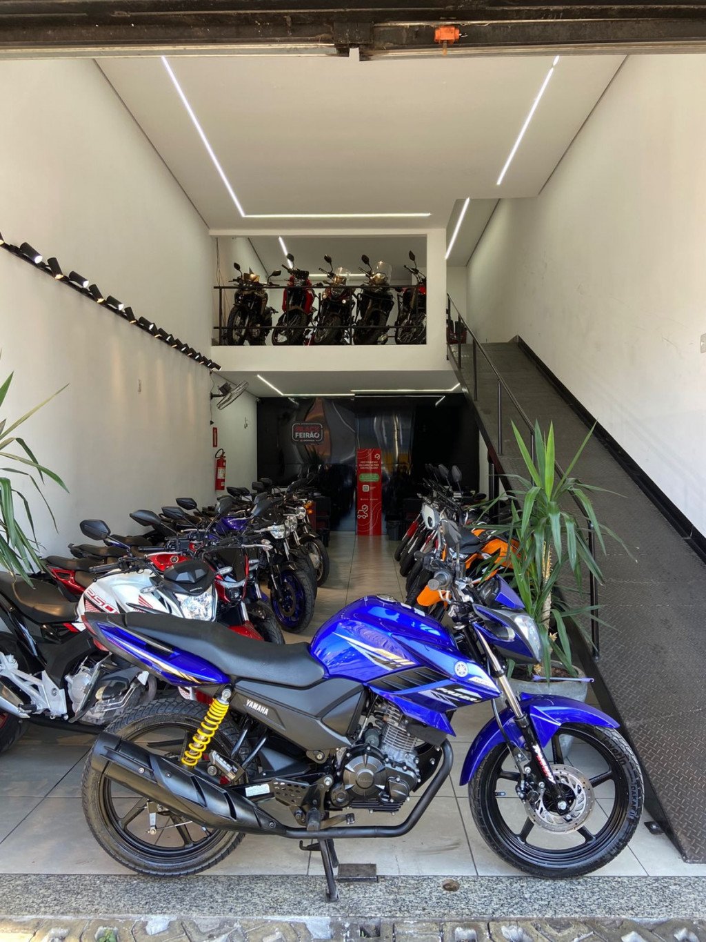 FZR 1000