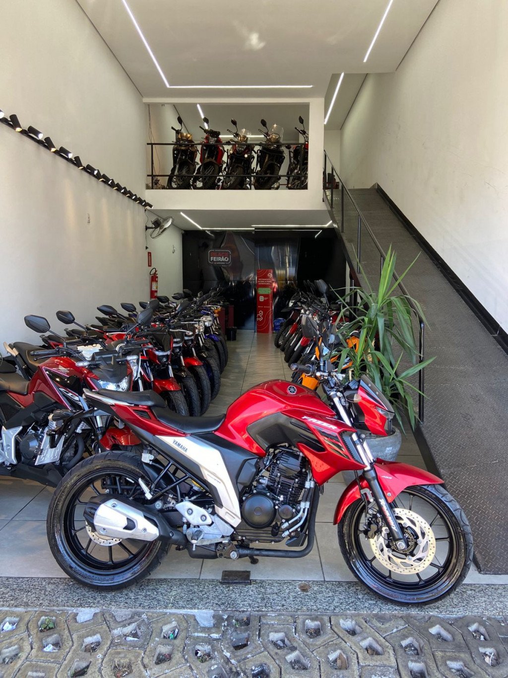 FZ25 FAZER THOR FLEX