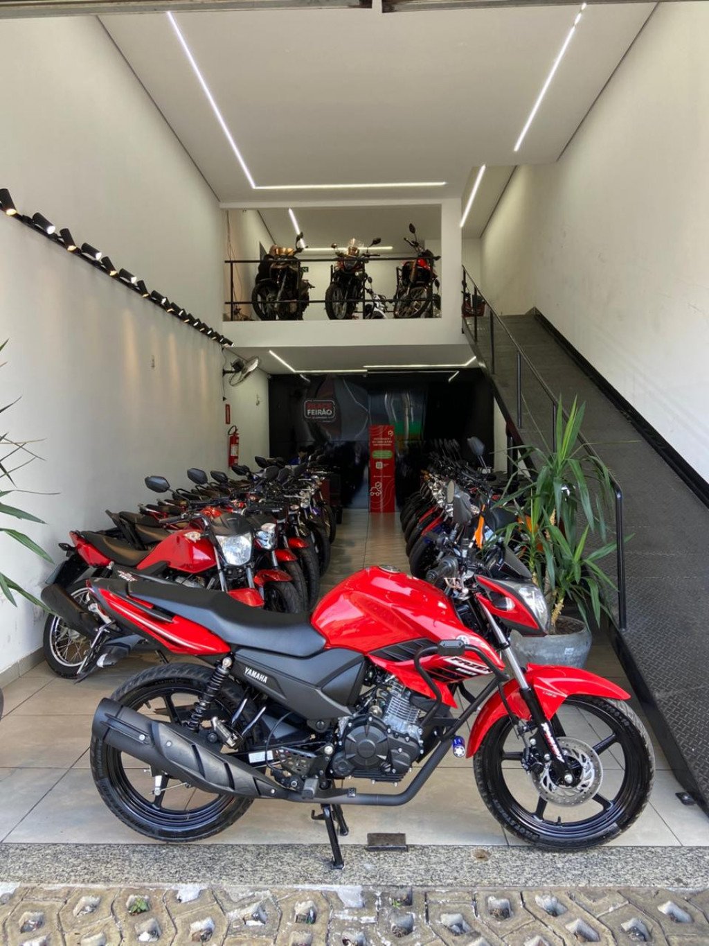 FZR 1000