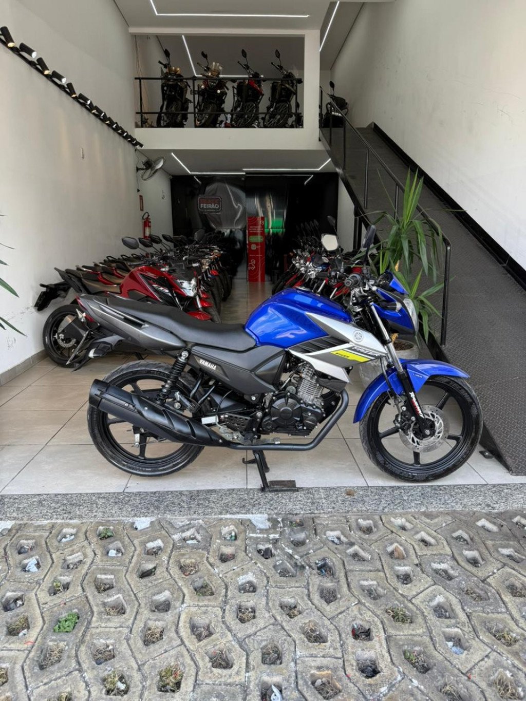 FZR 1000