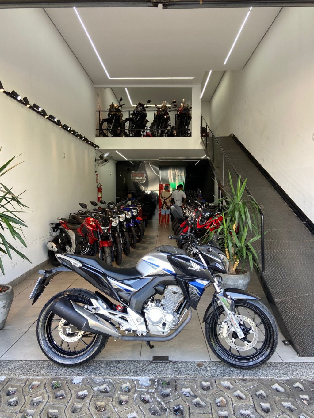 CB 250 TWISTER/FLEXONE