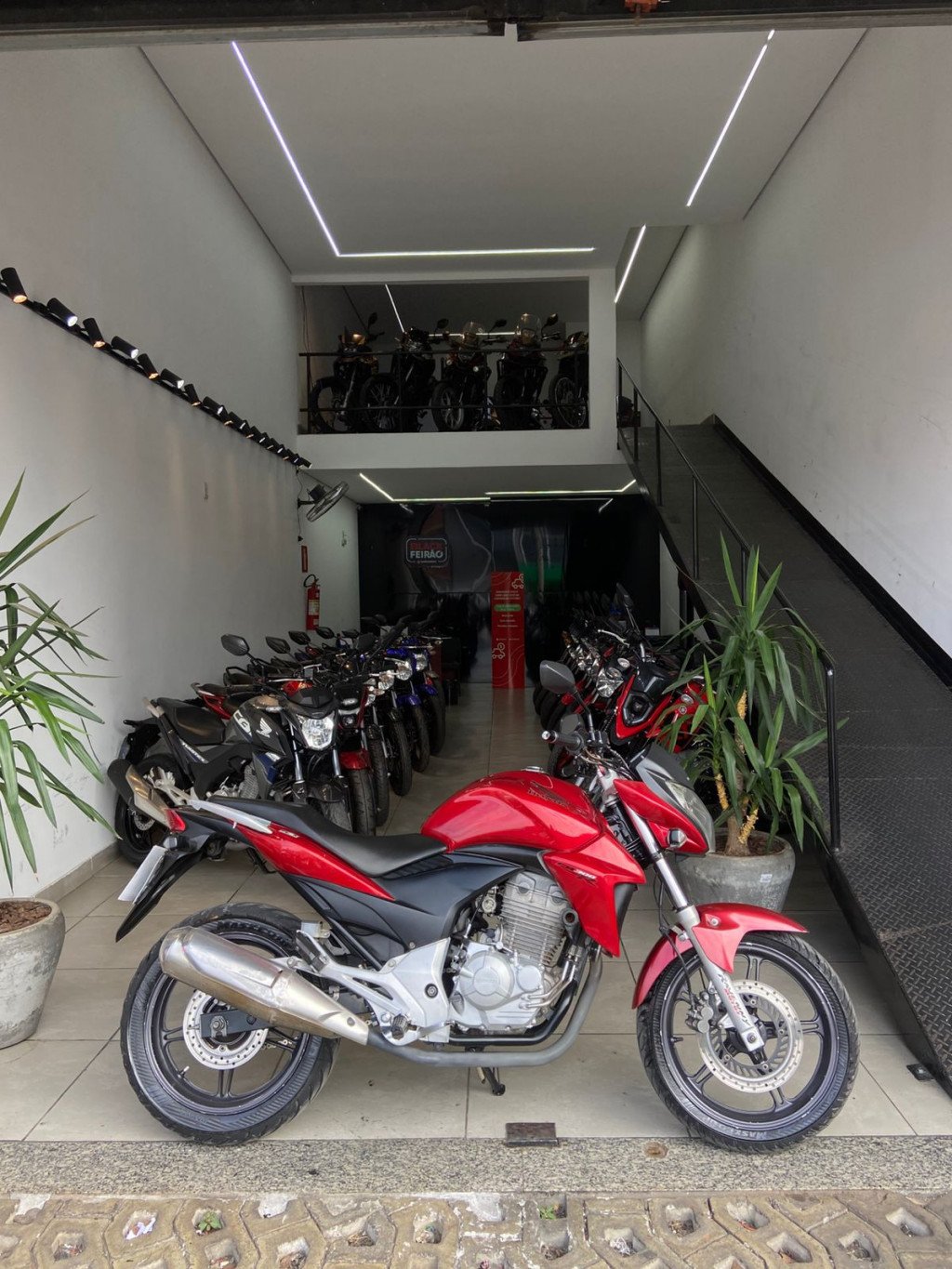 CB 300R/ 300R FLEX