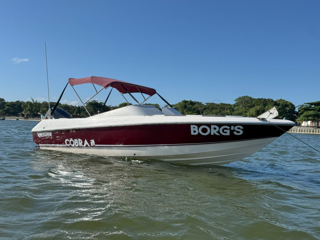 Imagem do veículo Lancha COBRA Fidji 18pés com Motor 90hp 4 tempos